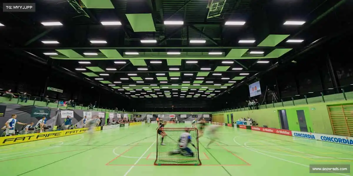 为什么选择我们